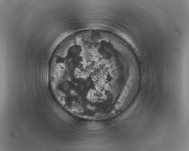 X0000113881275200910151305