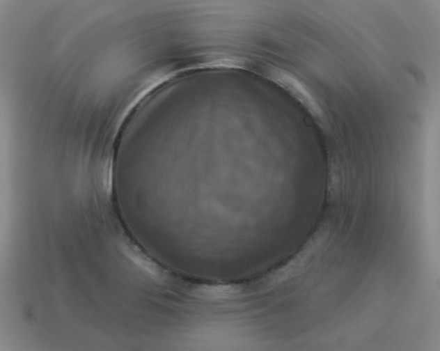 X0000113881276200910151305