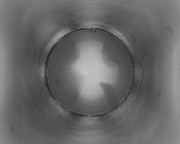 X0000113881277200910151305