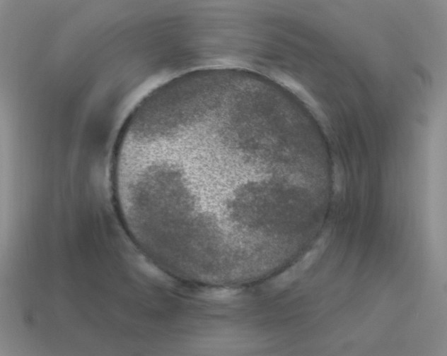 X0000113881278200910151305