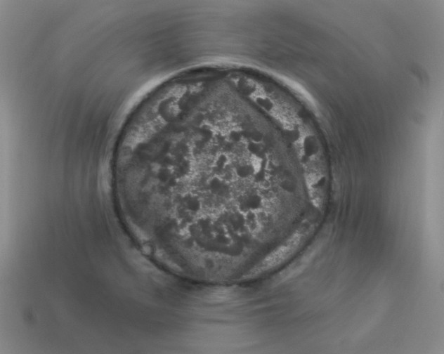 X0000113881279200910151305