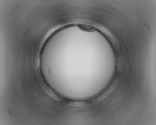 X0000113881280200910151305