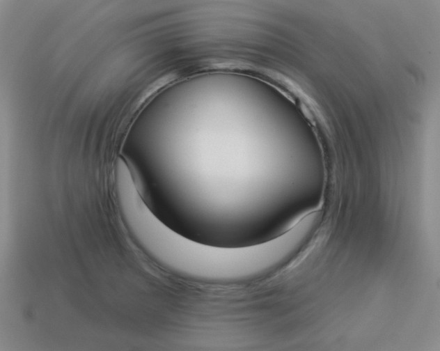 X0000113881281200910151305