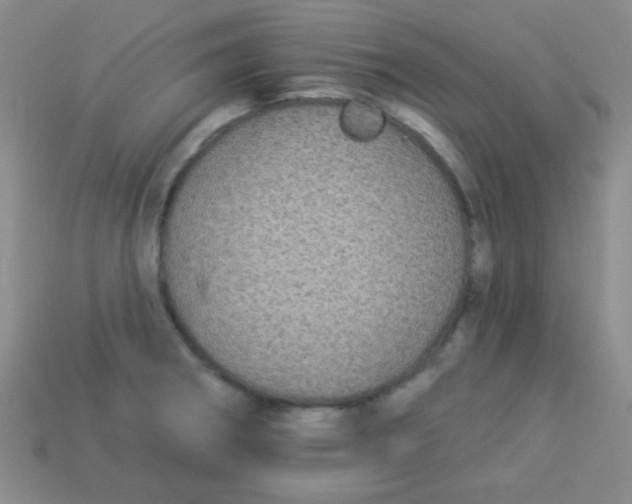 X0000113881282200910151305