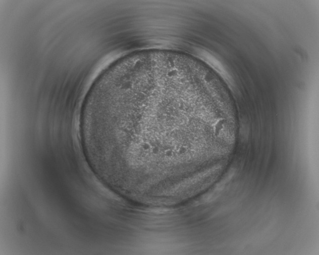 X0000113881283200910151305