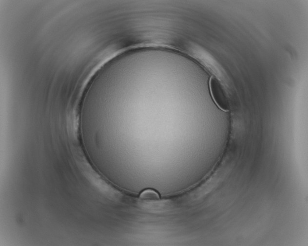 X0000113881284200910151305