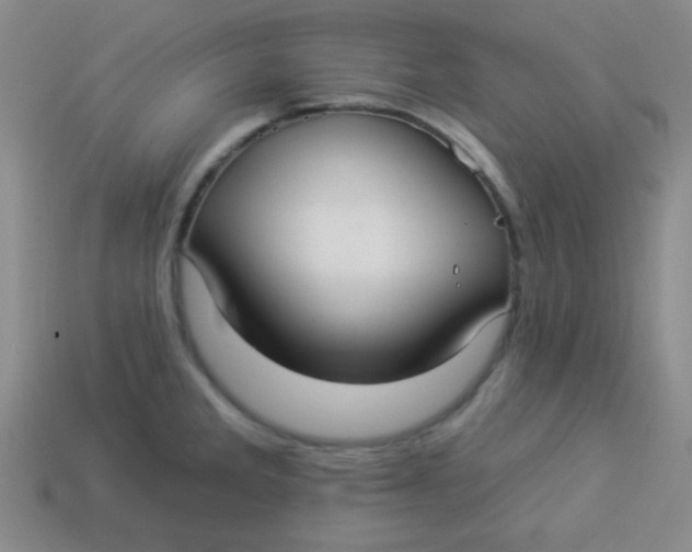 X0000113881285200910151305