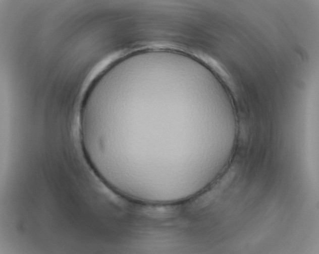 X0000113881286200910151305