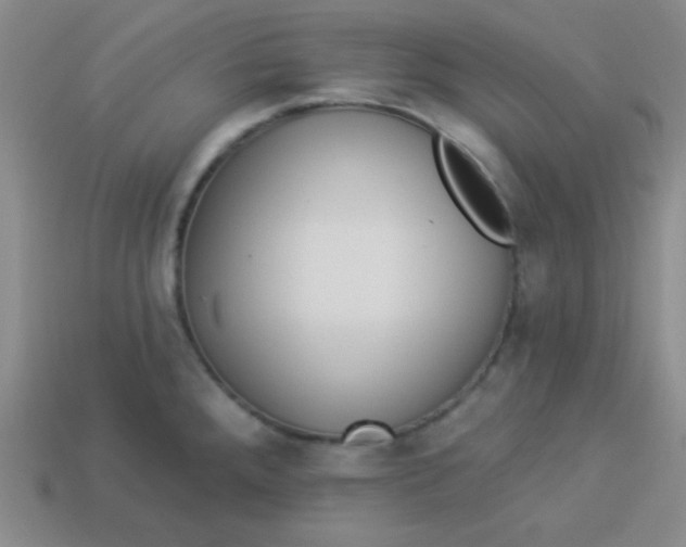 X0000113881288200910151305