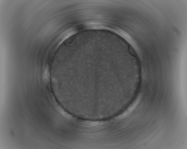 X0000113881289200910151305