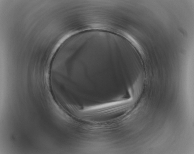 X0000113881291200910151305