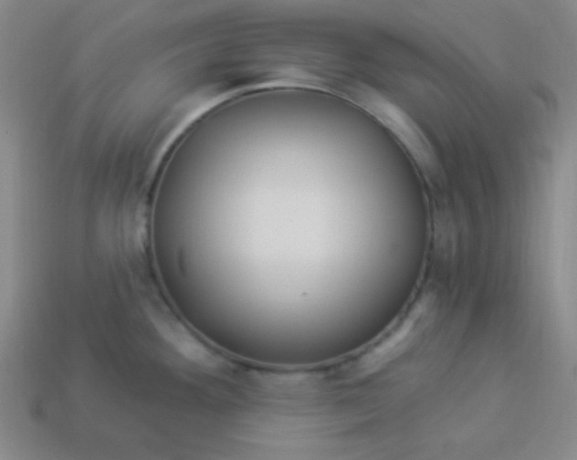 X0000113881292200910151305