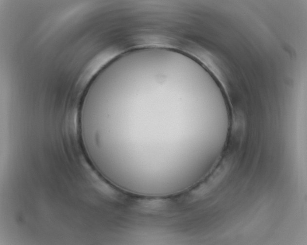 X0000113881293200910151305