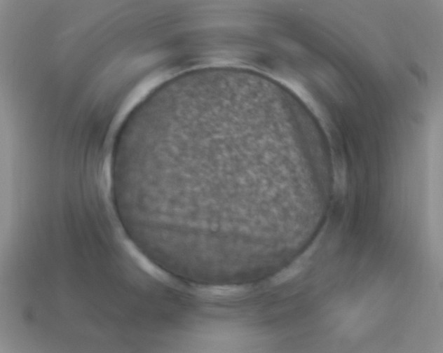 X0000113881294200910151305