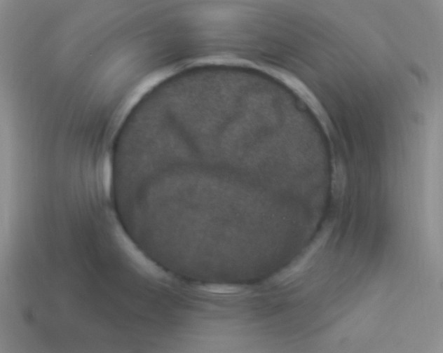 X0000113881295200910151305