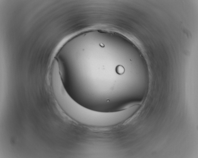 X0000113881296200910151305