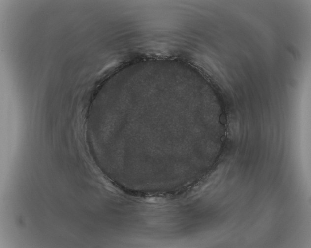 X0000113881297200910151304