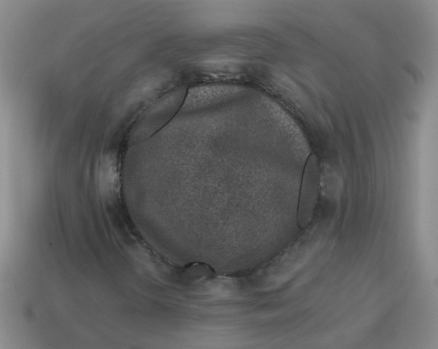 X0000113881298200910151304