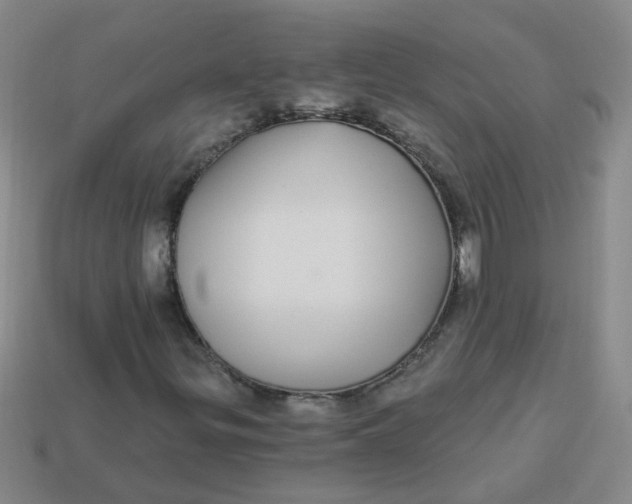 X0000113881299200910151304