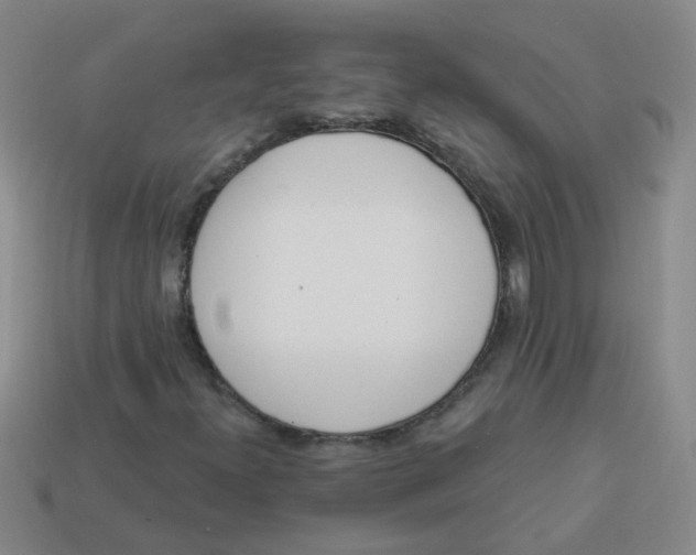 X0000113881300200910151304