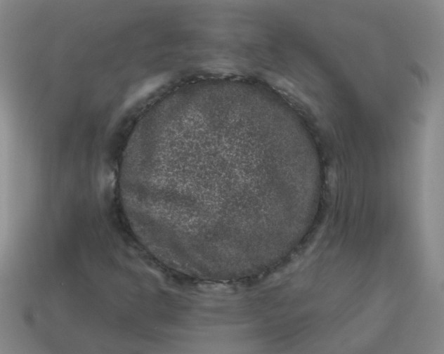 X0000113881302200910151304