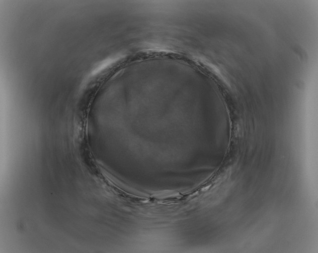 X0000113881303200910151304