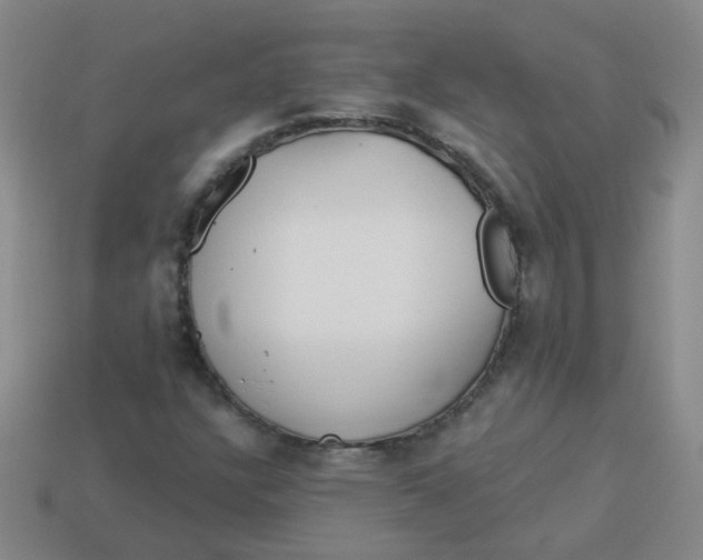 X0000113881304200910151304