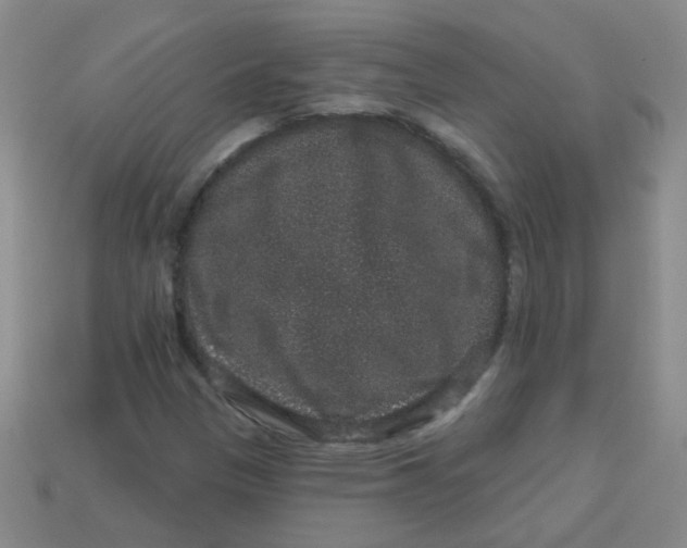 X0000113881305200910151304