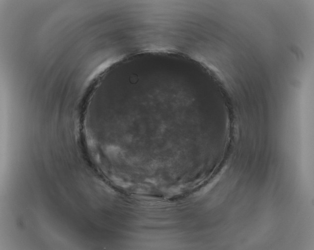 X0000113881306200910151304