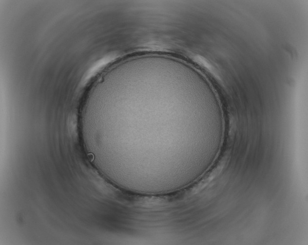 X0000113881307200910151304