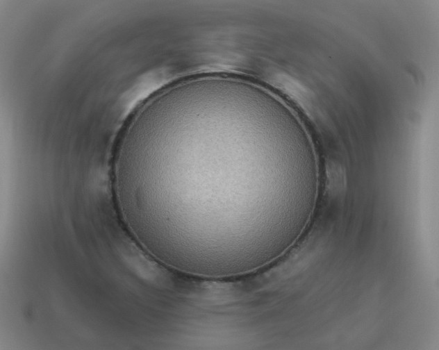 X0000113881308200910151304