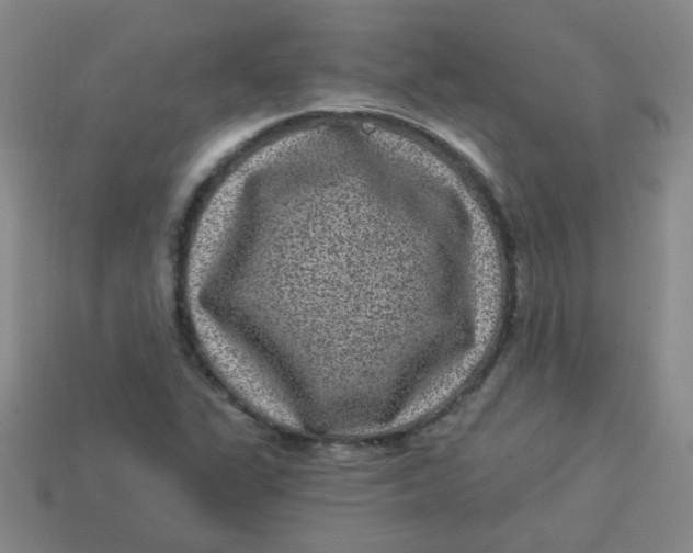 X0000113881311200910151304