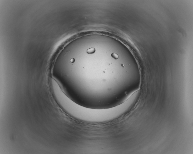 X0000113881312200910151304