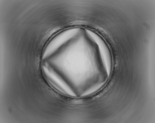 X0000113881313200910151304