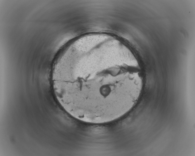 X0000113881314200910151304