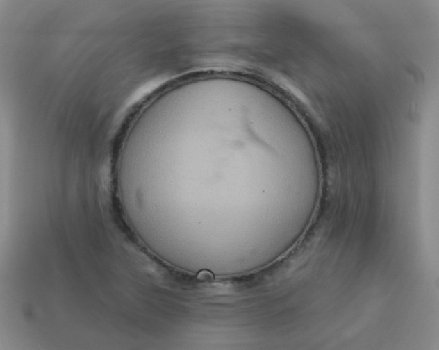 X0000113881315200910151304