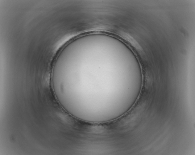 X0000113881316200910151304