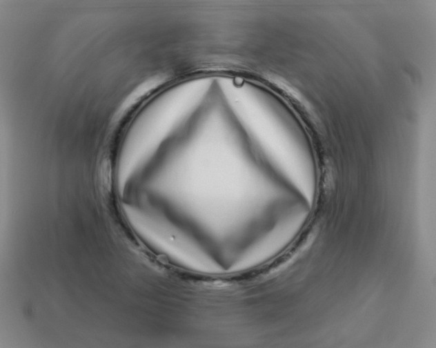 X0000113881317200910151304