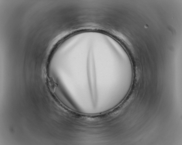 X0000113881318200910151304