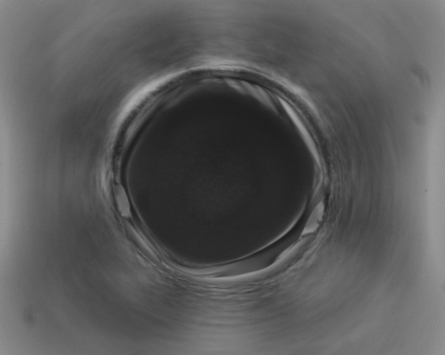 X0000113881319200910151304