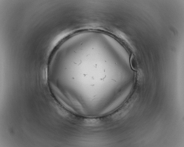 X0000113881320200910151304