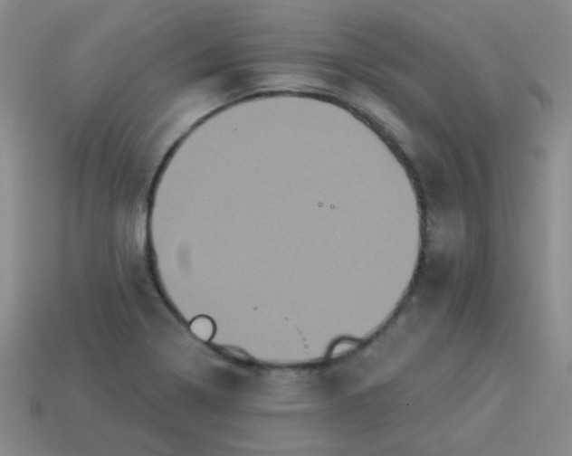 X0000113881322200910151304