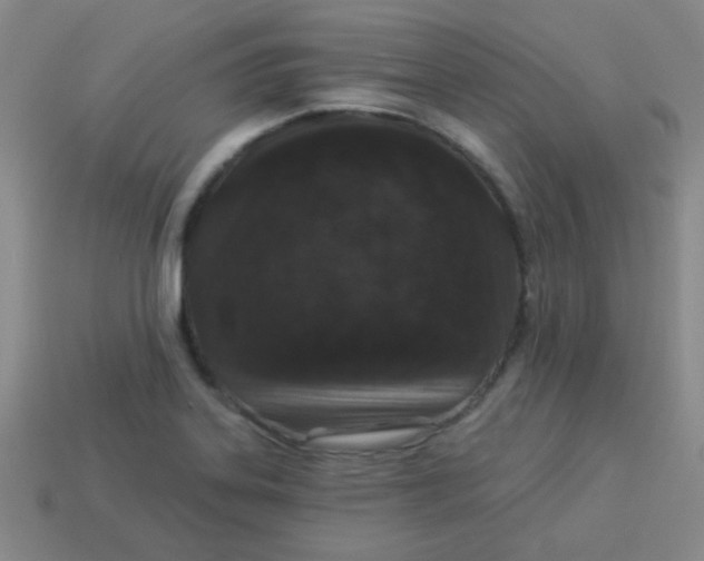 X0000113881323200910151304