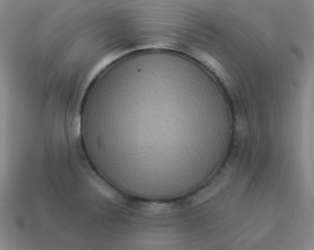 X0000113881324200910151304