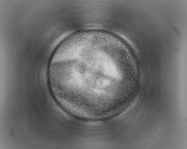 X0000113881325200910151304