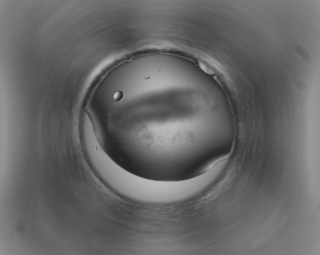 X0000113881326200910151304