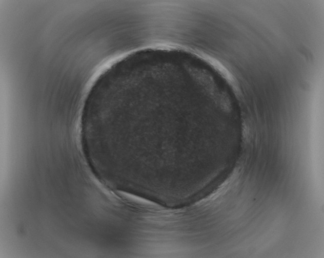 X0000113881327200910151304