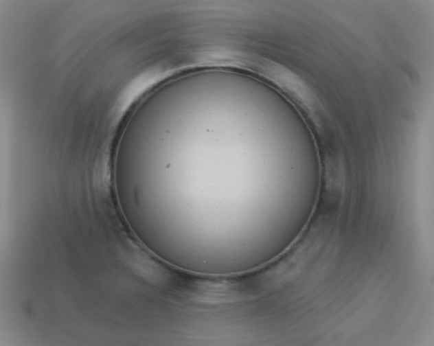 X0000113881328200910151304