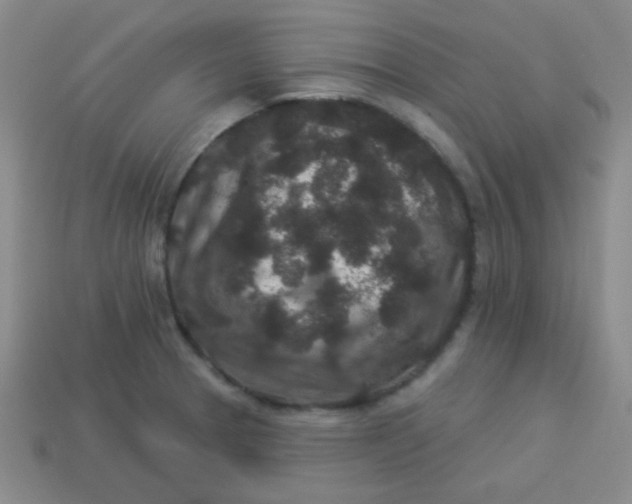 X0000113881329200910151304