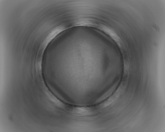 X0000113881330200910151304